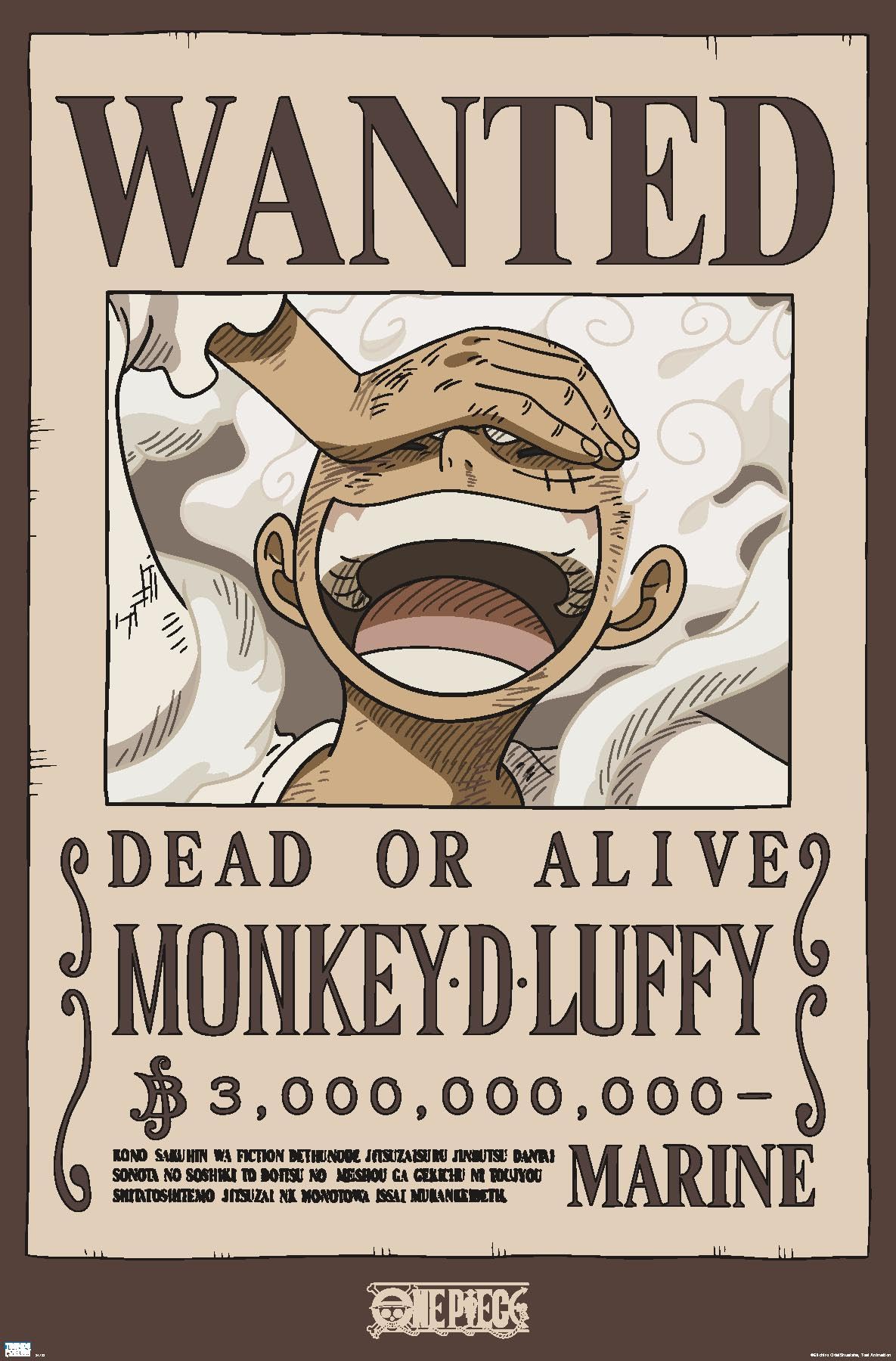 One Piece Wanted Poster Cards (Double-Sided | 2.5x3.5”)